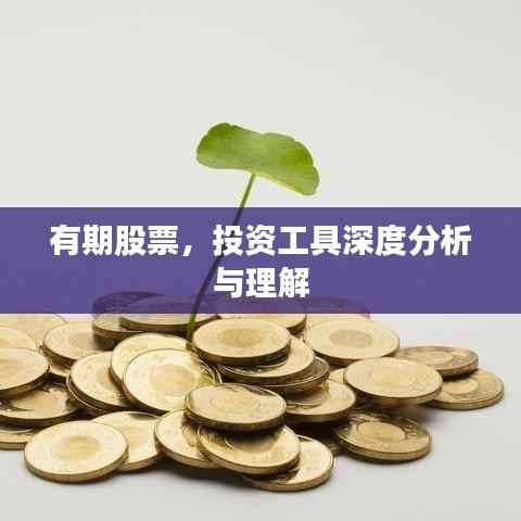 有期股票,投资工具深度分析与理解