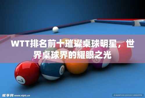 WTT排名前十璀璨桌球明星,世界桌球界的耀眼之光