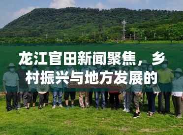 龙江官田新闻聚焦，乡村振兴与地方发展的紧密融合之路