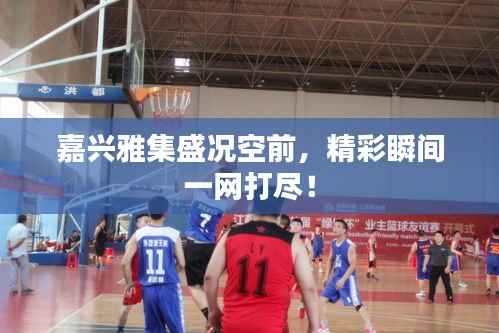 嘉兴雅集盛况空前,精彩瞬间一网打尽!