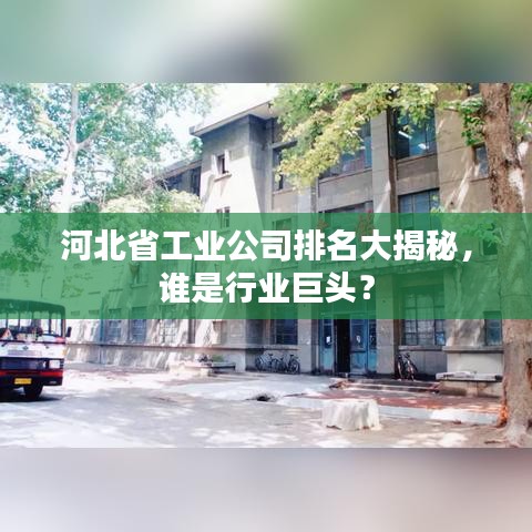 河北省工业公司排名大揭秘,谁是行业巨头?