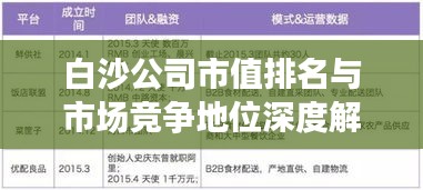 白沙公司市值排名与市场竞争地位深度解析