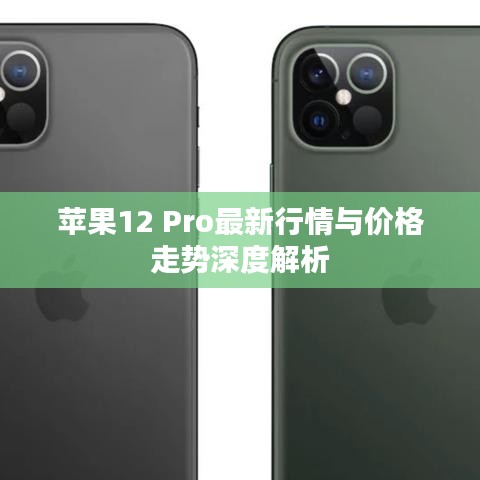 苹果12 Pro最新行情与价格走势深度解析