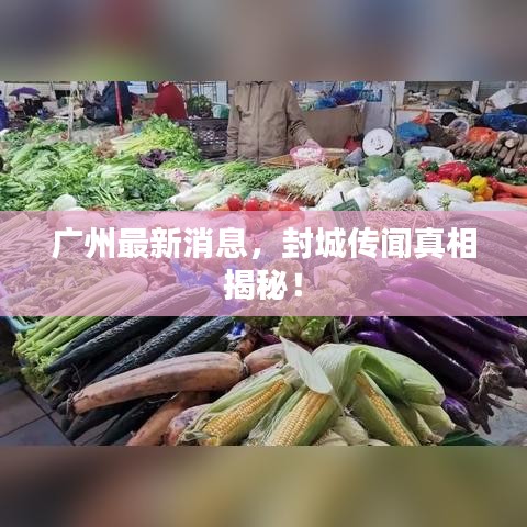 广州最新消息,封城传闻真相揭秘!