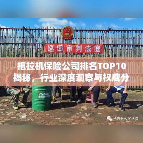 拖拉机保险公司排名TOP10揭秘，行业深度洞察与权威分析