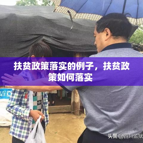 扶贫政策落实的例子,扶贫政策如何落实