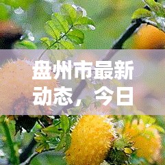 听见风就是雨 第2页