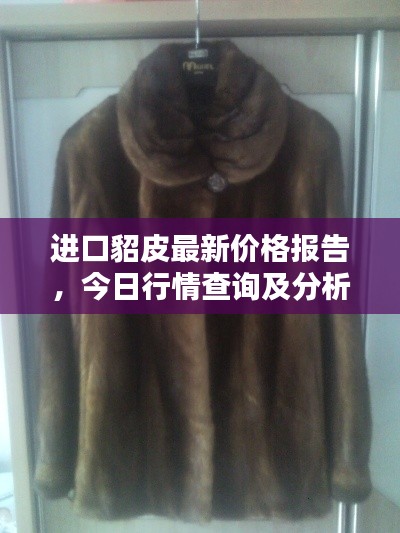 进口貂皮最新价格报告,今日行情查询及分析