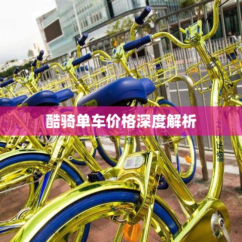 酷骑单车价格深度解析