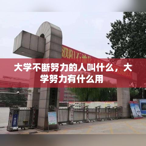 大学不断努力的人叫什么,大学努力有什么用