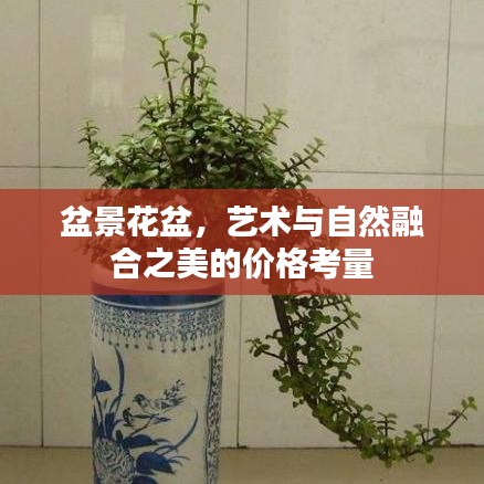 衣不兼彩 第3页