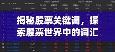 揭秘股票关键词,探索股票世界中的词汇奥秘