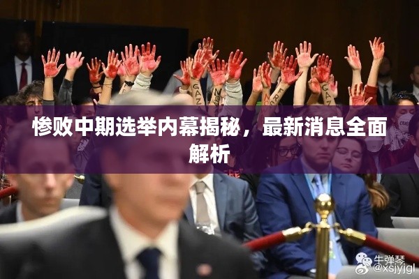 惨败中期选举内幕揭秘，最新消息全面解析