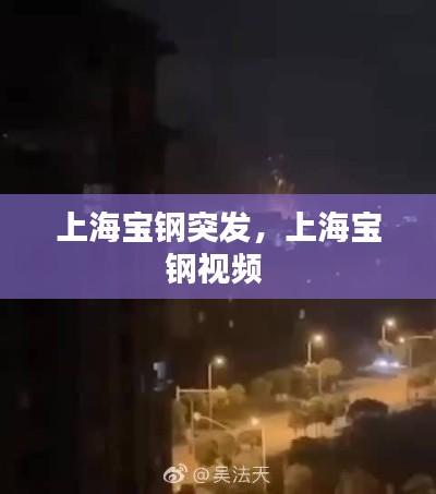 上海宝钢突发,上海宝钢视频