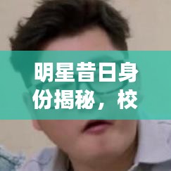 明星昔日身份揭秘，校园时代的校草风采