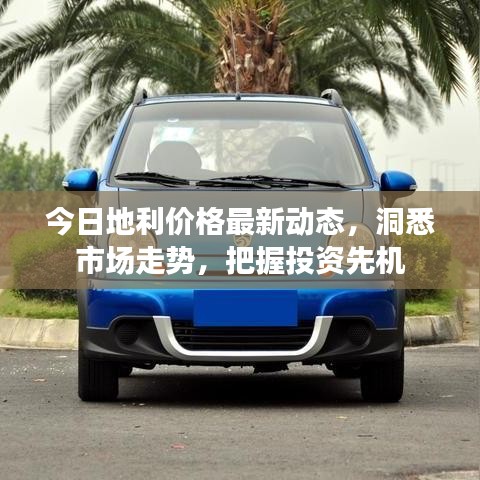 今日地利价格最新动态,洞悉市场走势,把握投资先机