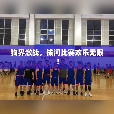 狗界激战,拔河比赛欢乐无限!