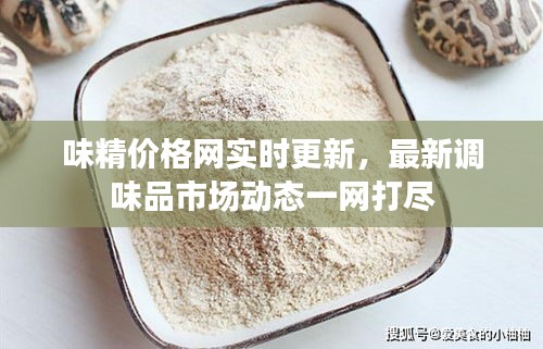 味精价格网实时更新,最新调味品市场动态一网打尽