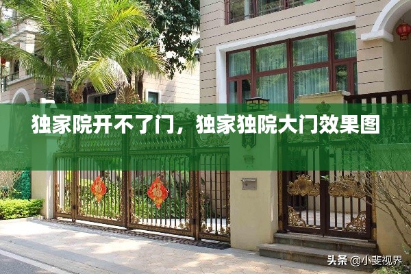 独家院开不了门,独家独院大门效果图