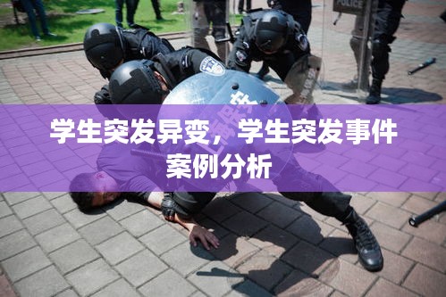 学生突发异变,学生突发事件案例分析