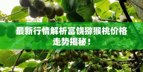 最新行情解析富饶猕猴桃价格走势揭秘！