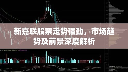 新嘉联股票走势强劲,市场趋势及前景深度解析