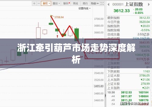 浙江牵引葫芦市场走势深度解析