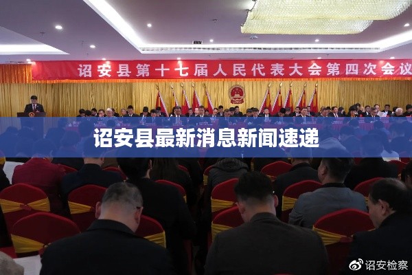 飞蛾扑火 第2页