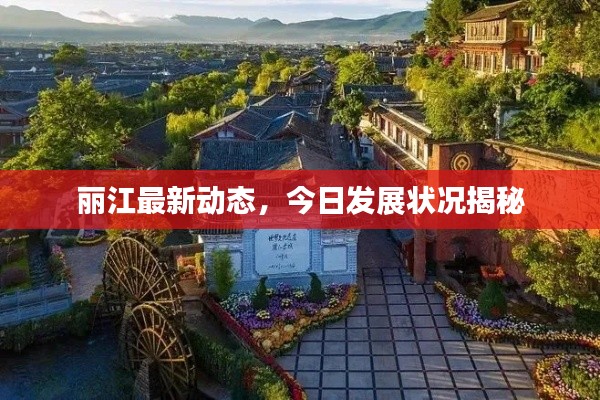 高不成低不就 第2页