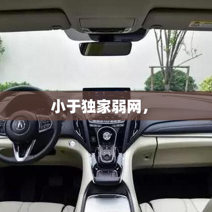 小于独家弱网,