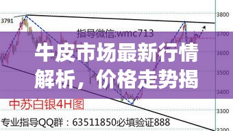 牛皮市场最新行情解析,价格走势揭秘,一张牛皮究竟多少钱?