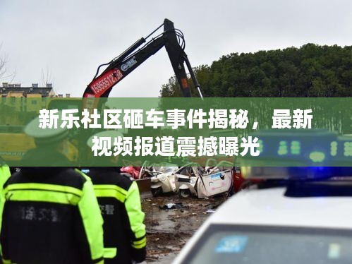 新乐社区砸车事件揭秘,最新视频报道震撼曝光