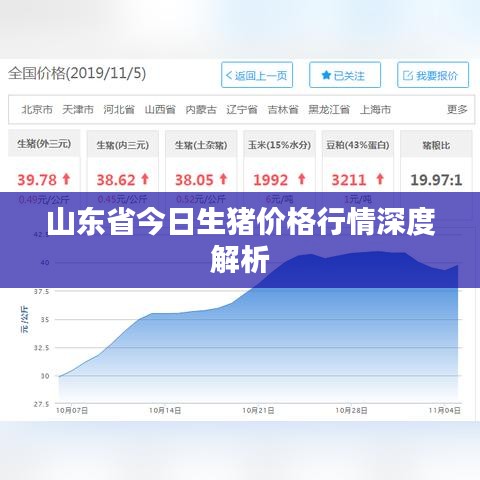 山东省今日生猪价格行情深度解析