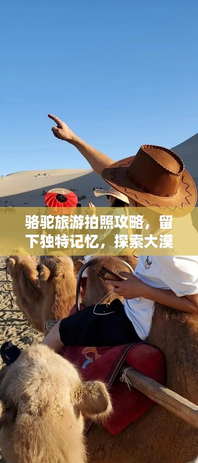 骆驼旅游拍照攻略,留下独特记忆,探索大漠风光!