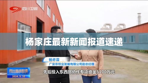 杨家庄最新新闻报道速递