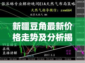 新疆豆角最新价格走势及分析揭秘