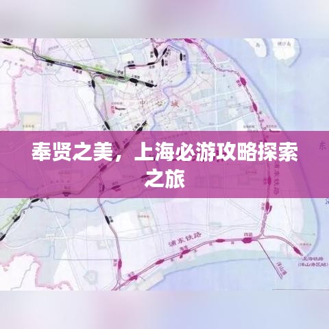 奉贤之美,上海必游攻略探索之旅